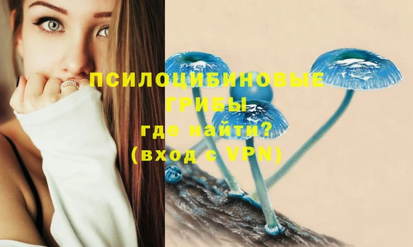 mix Магас