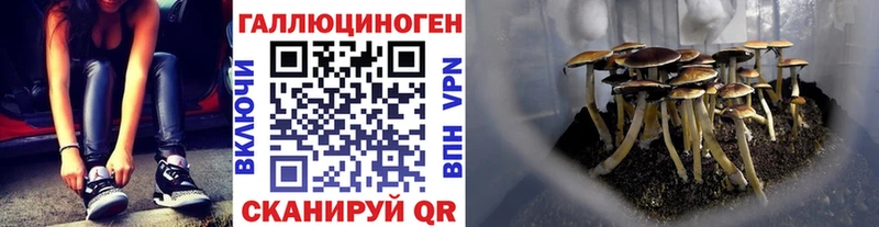 Купить где  Нягань  Псилоцибиновые грибы MAGIC MUSHROOMS 